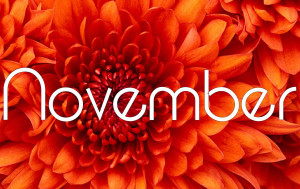 November