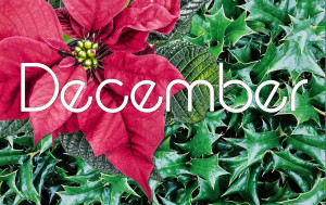 December