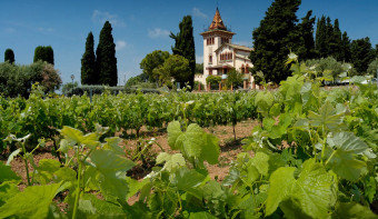 Read more about Tempranillo Day