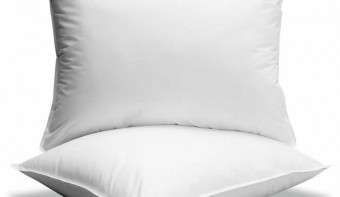 Read more about Put a Pillow in Your Fridge Day