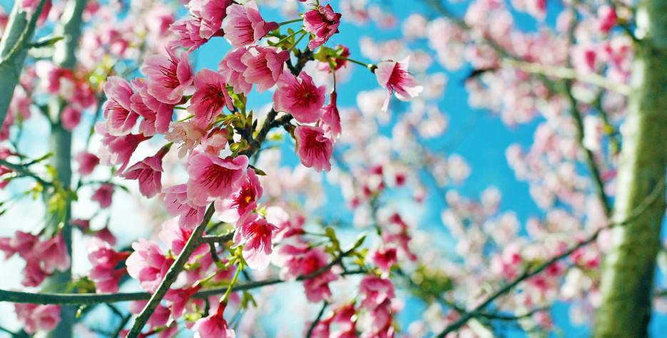 Vernal Equinox around the world in 2026